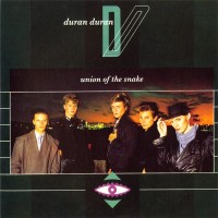 Purchase Duran Duran - Singles Box Set 1981-1985: Union Of The Snake CD9