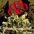 Buy Ces Cru - Capture Enemy Soldiers Mp3 Download