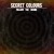 Buy Secret Colours - Follow The Drone (CDS) Mp3 Download