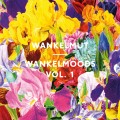 Buy VA - Wankelmoods Vol. 1 Mp3 Download