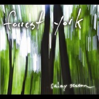 Purchase Forrest York - Rainy Season
