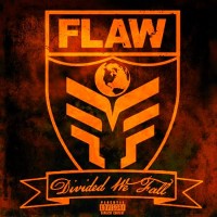Purchase Flaw - Divided We Fall