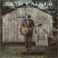 Buy Seth Walker - Gotta Get Back Mp3 Download