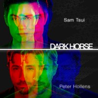 Purchase Peter Hollens - Dark Horse (CDS)
