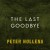 Buy Peter Hollens - The Last Goodbye (CDS) Mp3 Download