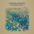 Buy Anders Osborne - Flower Box Mp3 Download