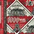 Buy Quantic Presenta Flowering Inferno - 1000 Watts Mp3 Download