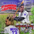 Buy The Underachievers - It Happened In Flatbush Mp3 Download