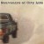 Buy Red Wanting Blue - Souvenirs Of City Life Mp3 Download