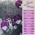 Buy The Purple Helmets - Ride Again (Vinyl) Mp3 Download