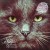 Buy Jay Lumen - Pulp Fiction (EP) Mp3 Download