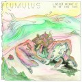 Buy Cumulus - I Never Meant It To Be Like This Mp3 Download