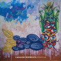 Buy Graveola - Camaleão Borboleta Mp3 Download
