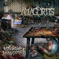 Purchase Amagortis - Intrinsic Indecency