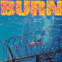 Purchase Burn - ...From The Ashes (VLS)