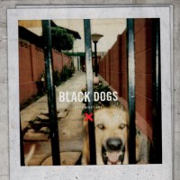 Purchase Boys Night Out - Black Dogs (EP)
