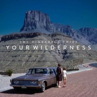 Purchase The Pineapple Thief - Your Wilderness