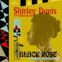 Purchase Shirley Davis & The Silverbacks - Black Rose