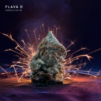 Purchase VA - Fabriclive 88: Flava D