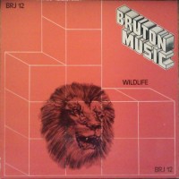 Purchase Basil Kirchin - Wildlife (Jack Nathan & Nigel Shipway) (Vinyl)