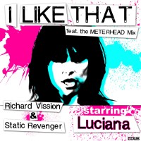 Purchase Richard Vission - I Like That (Original Mix) (CDS)