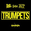 Buy Sak Noel - Trumpets (With Salvi, Feat. Sean Paul) (CDS) Mp3 Download