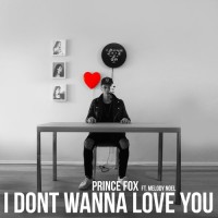 Purchase Prince Fox - I Don't Wanna Love You (CDS)