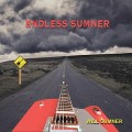 Buy Will Sumner - Endless Sumner Mp3 Download