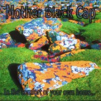 Purchase Mother Black Cap - In The Comfort Of Your Own Home