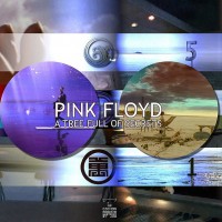 Purchase Pink Floyd - A Tree Full Of Secrets: David Gilmour And Roger Waters Rarities CD16