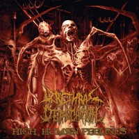 Purchase Urethral Defecation - High Human Feelings