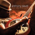 Buy David Anthony - The Powerful Now Mp3 Download