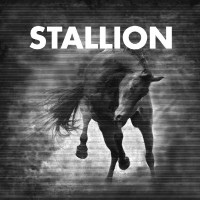 Purchase Stallion - Stallion 001