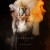 Buy IAMX - Everything Is Burning (Metanoia Addendum) CD2 Mp3 Download
