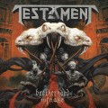 Buy Testament - Brotherhood of the Snake Mp3 Download