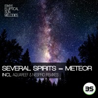 Purchase Several Spirits - Meteor (CDS)