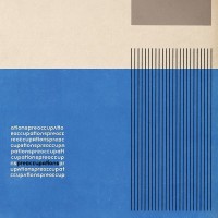 Purchase Preoccupations - Preoccupations