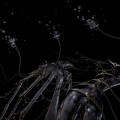 Buy Lotic - Agitations Mp3 Download