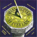 Buy Brian Hopper - If Ever I Am Mp3 Download