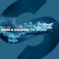 Buy Dimmi & Goldfish - The Storm (CDS) Mp3 Download