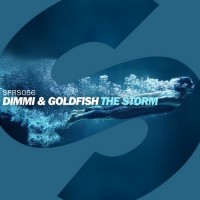 Purchase Dimmi & Goldfish - The Storm (CDS)