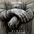 Buy Rag'n'bone Man - Human (Calyx & Teebee Remix) (CDR) Mp3 Download