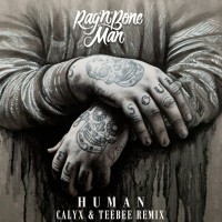 Purchase Rag'n'bone Man - Human (Calyx & Teebee Remix) (CDR)