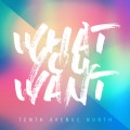 Buy Tenth Avenue North - What You Want (CDS) Mp3 Download