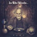 Buy In The Woods... - Pure Mp3 Download