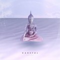 Buy Kareful - Deluge Mp3 Download