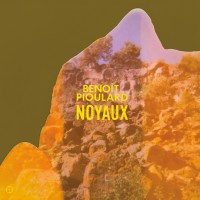 Purchase Benoit Pioulard - Noyaux (EP)