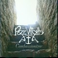 Buy Roz Vitalis - Compassionizer Mp3 Download