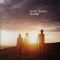 Purchase Junior Delgado - Reasons