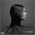 Buy Skylar Grey - Natural Causes Mp3 Download